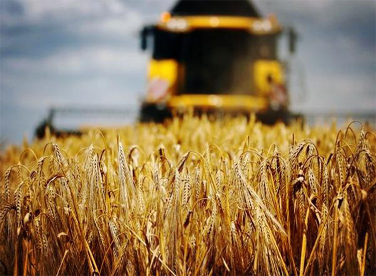 澳大麥豐收，銷路卻成了問(wèn)題，印度有意接盤(pán)卻引來(lái)農(nóng)民不滿【潤(rùn)康】磨煤機(jī)磨輥對(duì)此看法?